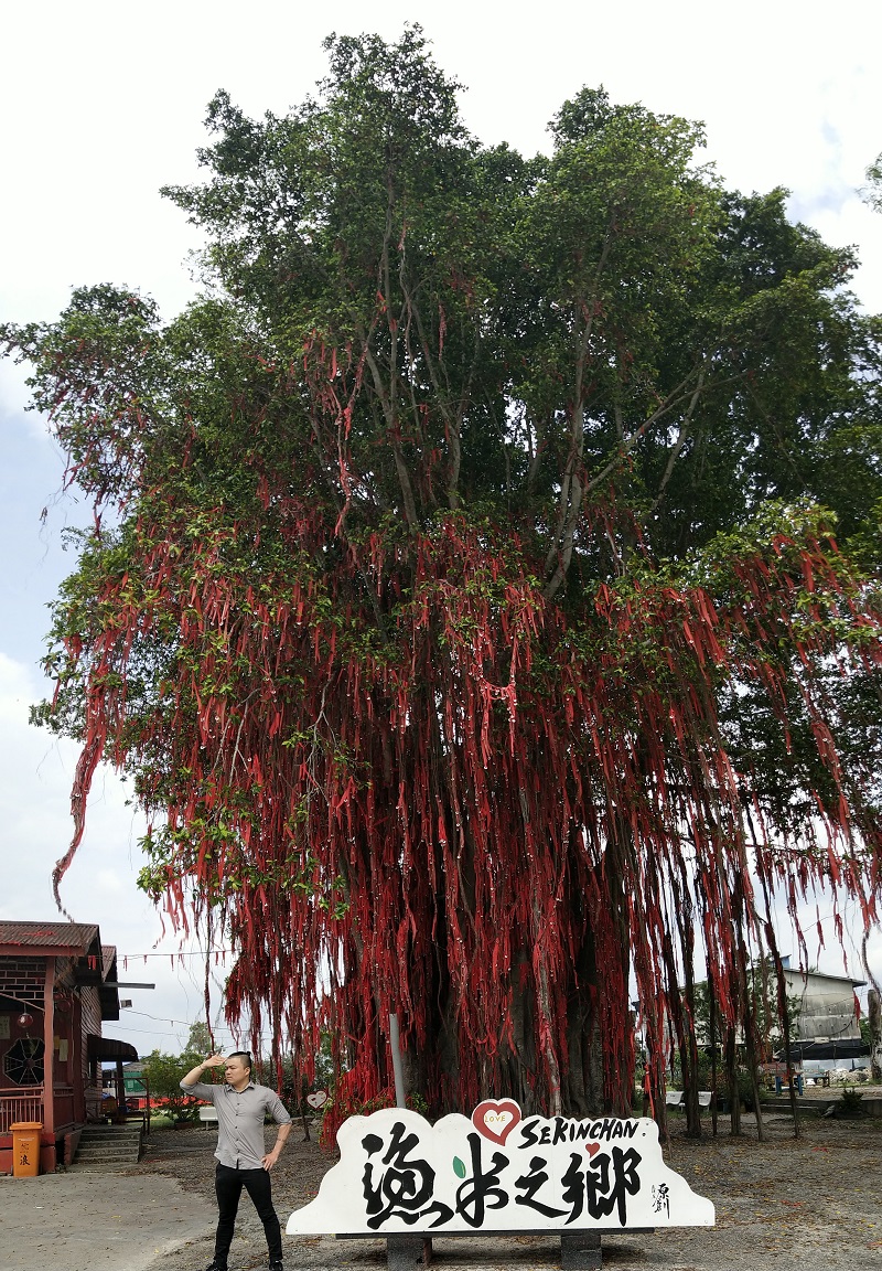 Pantai redang sekinchan 15 Best